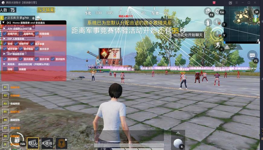 和平精英辅助【内部G简洁版】